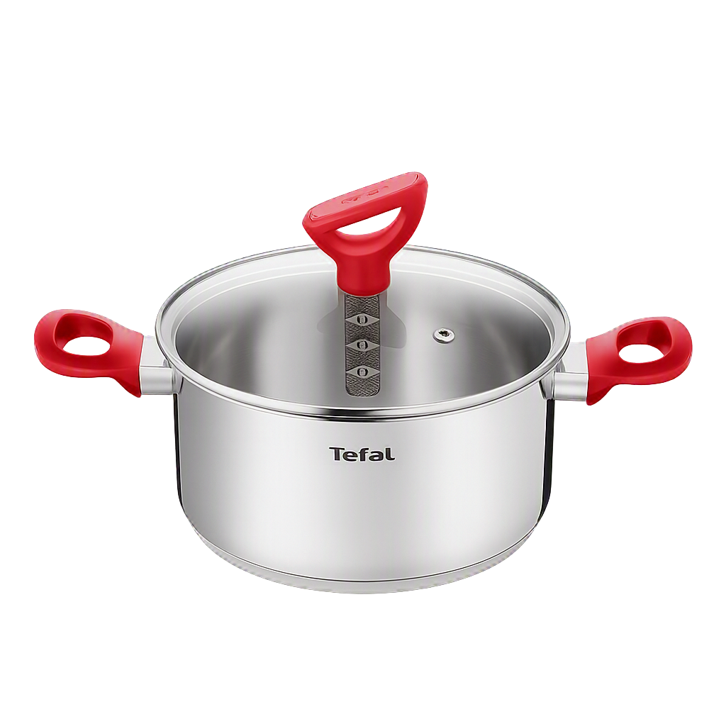 테팔 에디션 레드 인덕션 양수냄비 24cm(Tefal Edition Red Induction Stockpot 24cm)