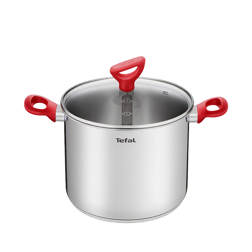 테팔 에디션 레드 인덕션 곰솥냄비 22cm(Tefal Edition Red Induction Stew Pot 22cm)
