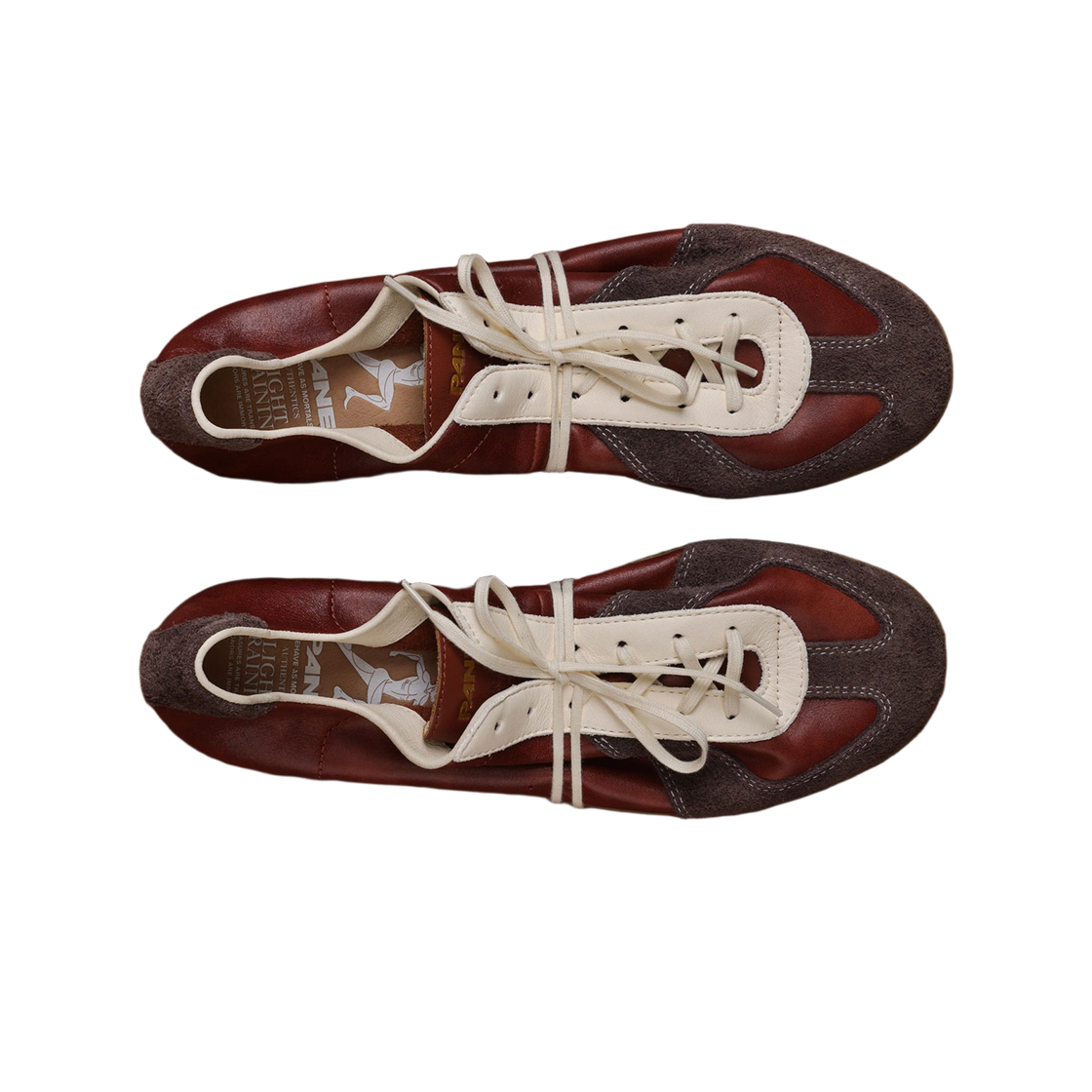 파네 라이트 트레이닝 노기 녹트라(Pane Light Training Nogi Noctra) - 2