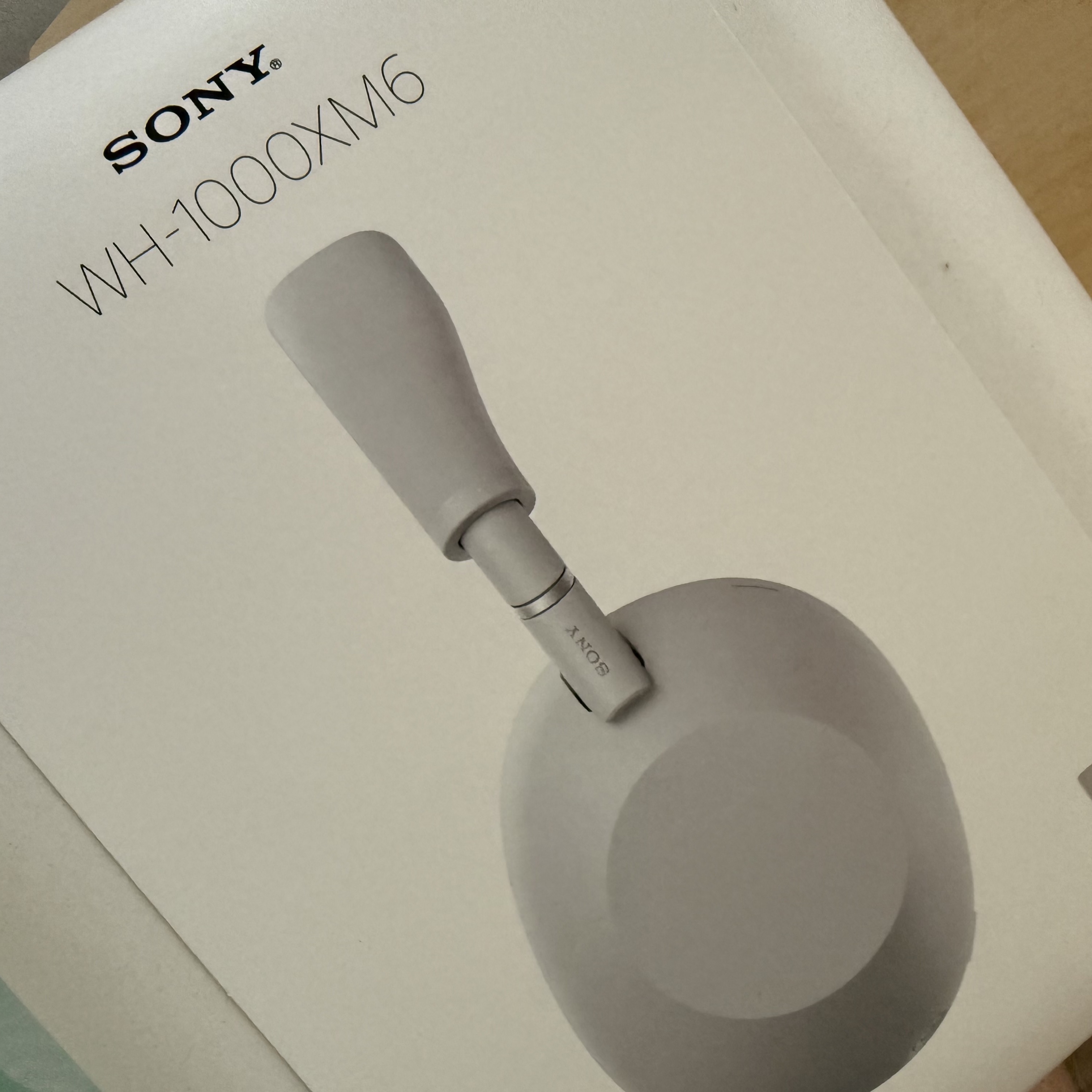 [사은품 증정] Sony WH-1000XM6 (Sony Korea Ver.) 착용 스타일 - 1