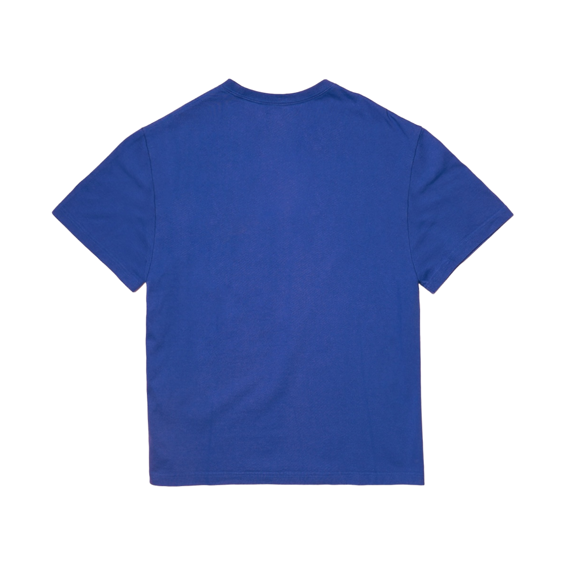 나이스웨더 어패럴 OG 로고 티셔츠 블루(Nice Weather Apparel OG Logo T-Shirt Blue) - 2