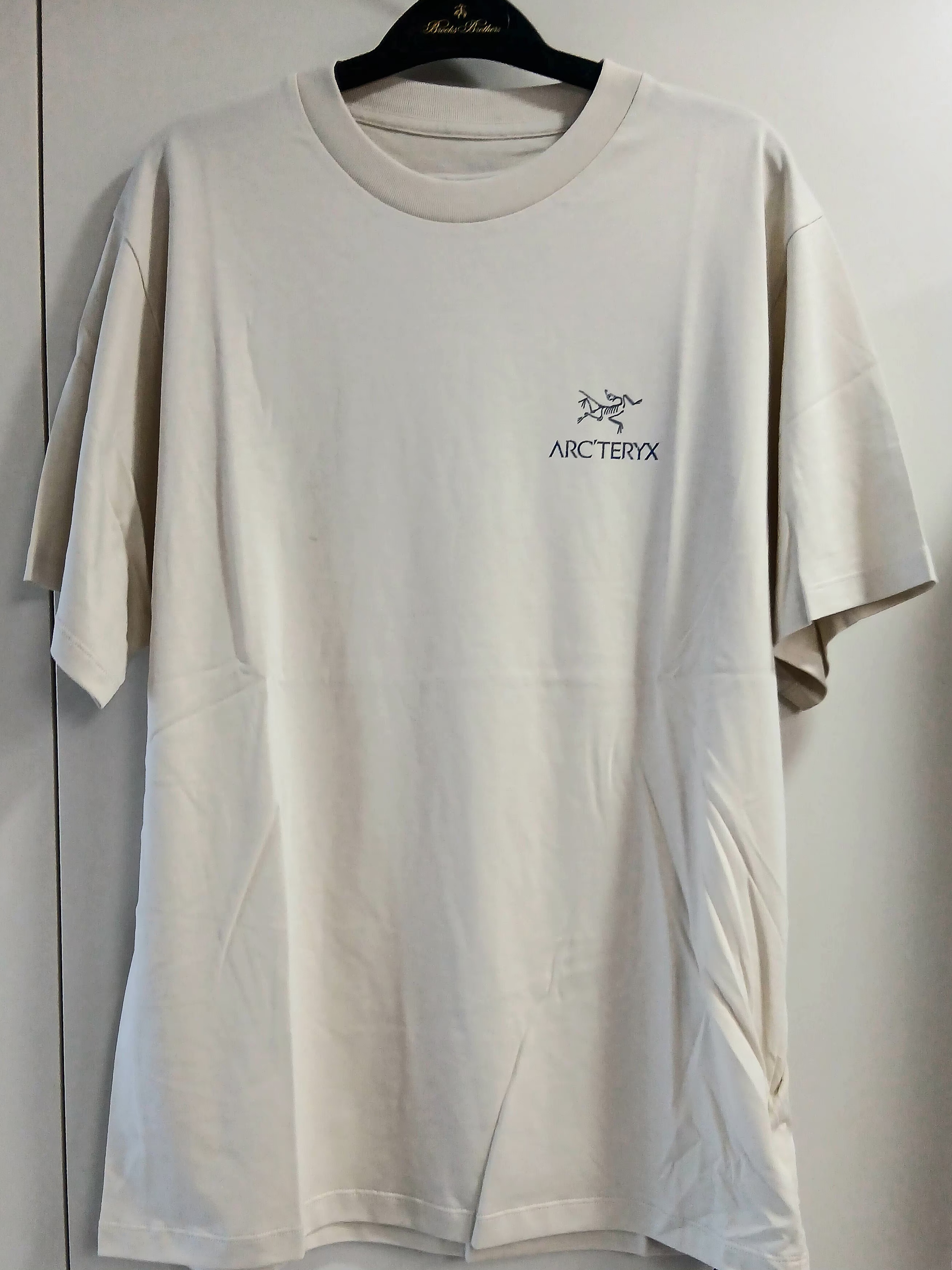 Arc'teryx Kragg SL Cotton Jug Shirt SS Sea Salt Vitality 착용 스타일 - 2