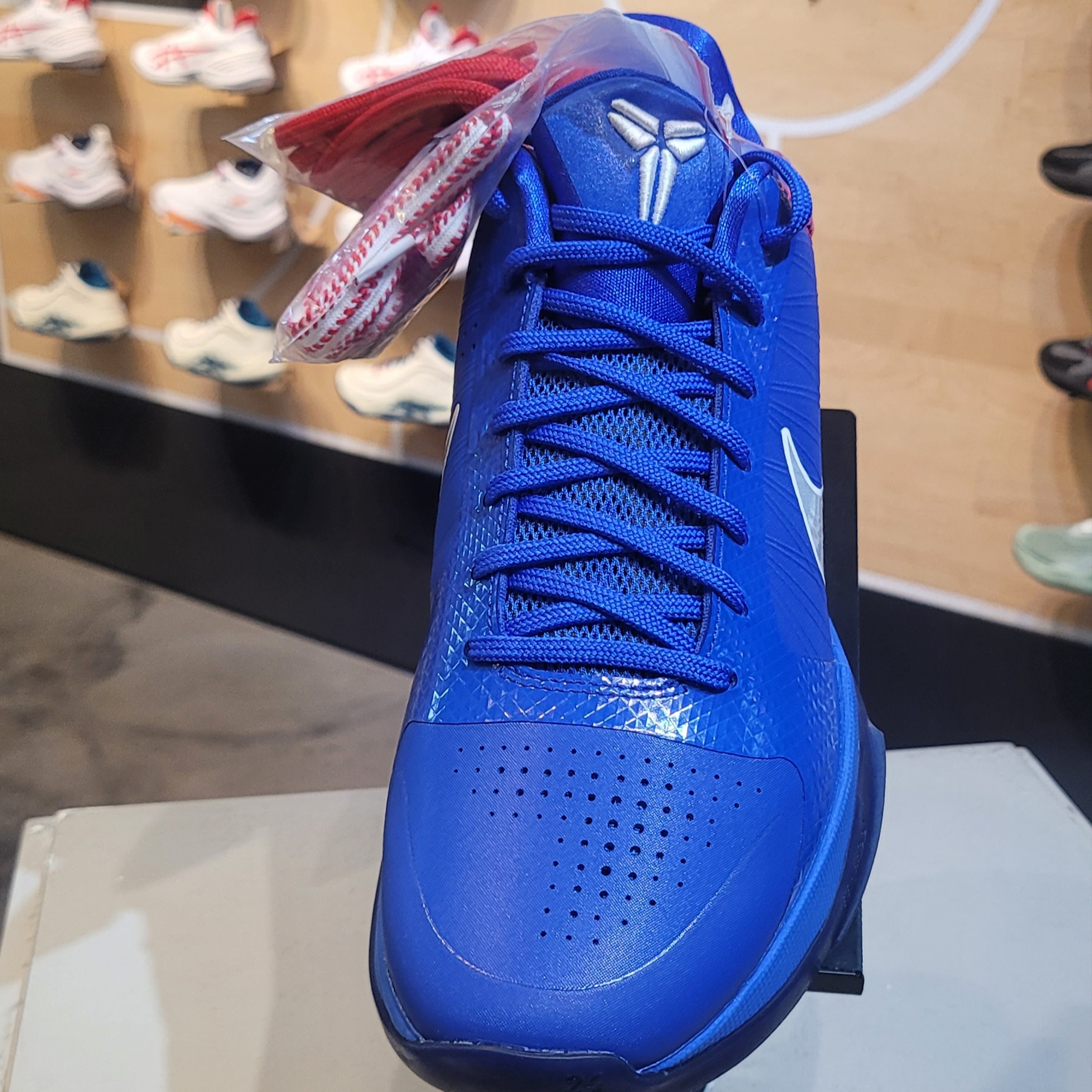 Nike Kobe 5 Protro Hyper Royal 착용 스타일
