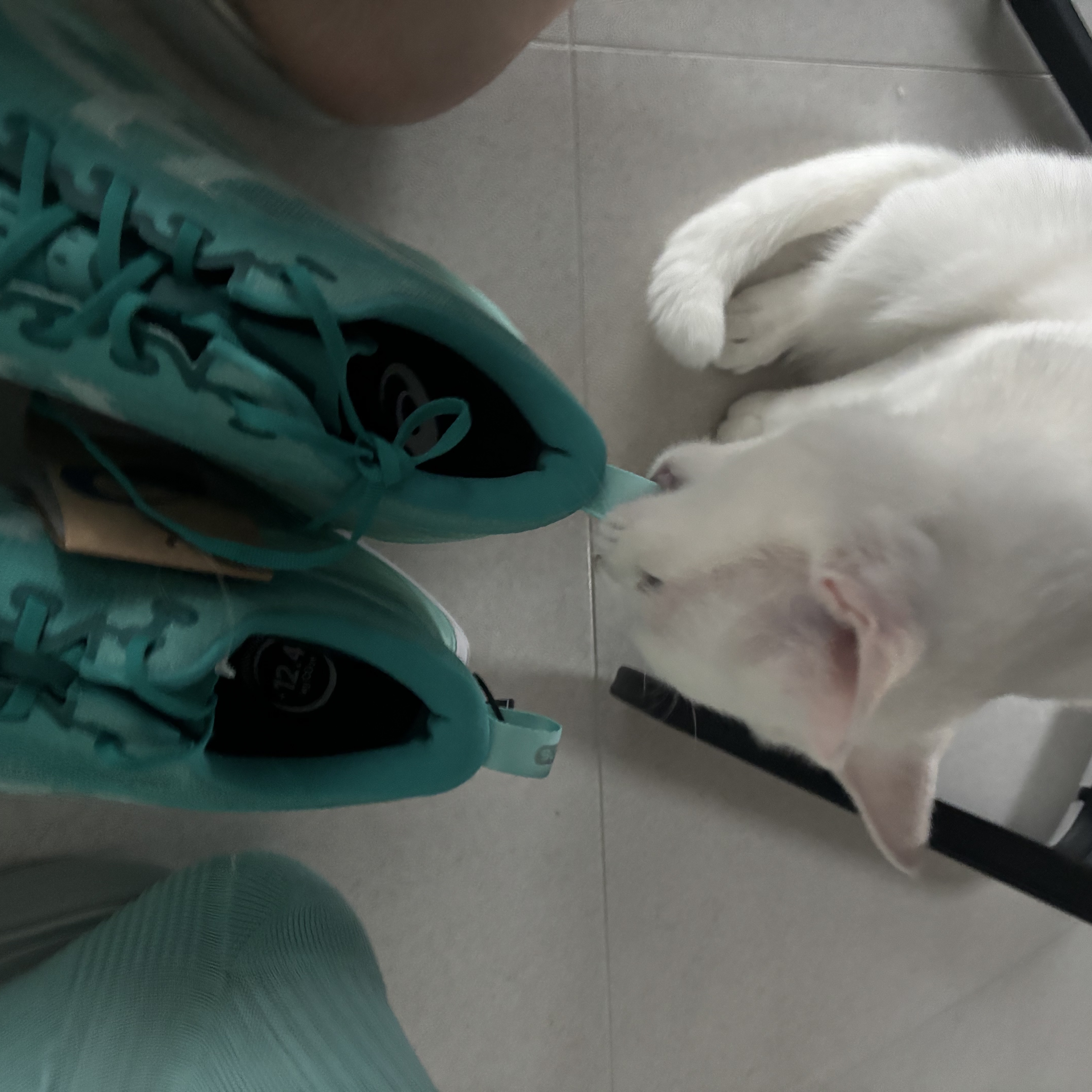 Asics Superblast 2 Wave Teal Illuminate Mint 착용 스타일