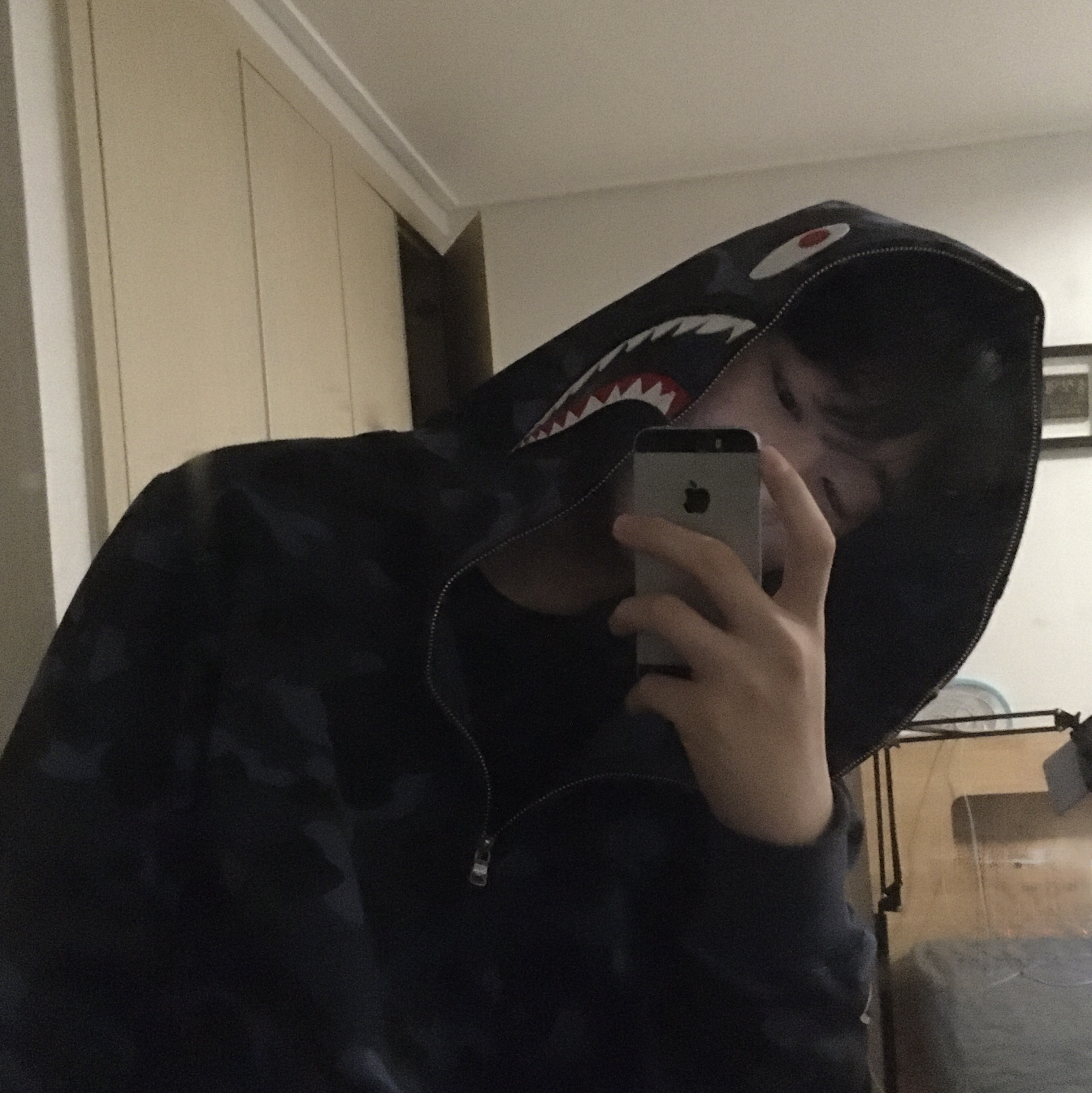 BAPE Color Camo Shark Full Zip Hoodie Navy 착용 스타일
