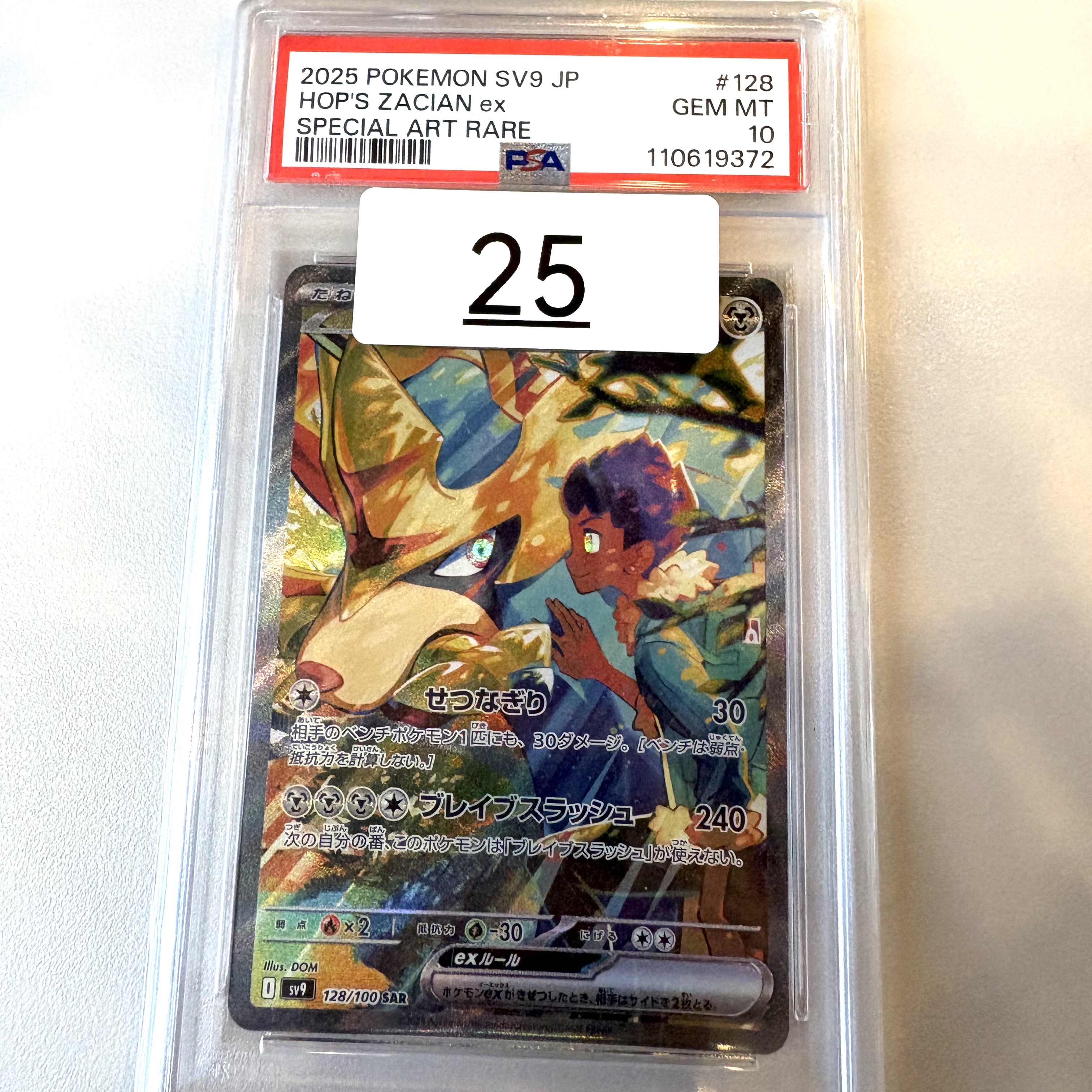 Pokemon TCG Hop's Zacian ex SAR Battle Partners (Japanese Ver.) 착용 스타일