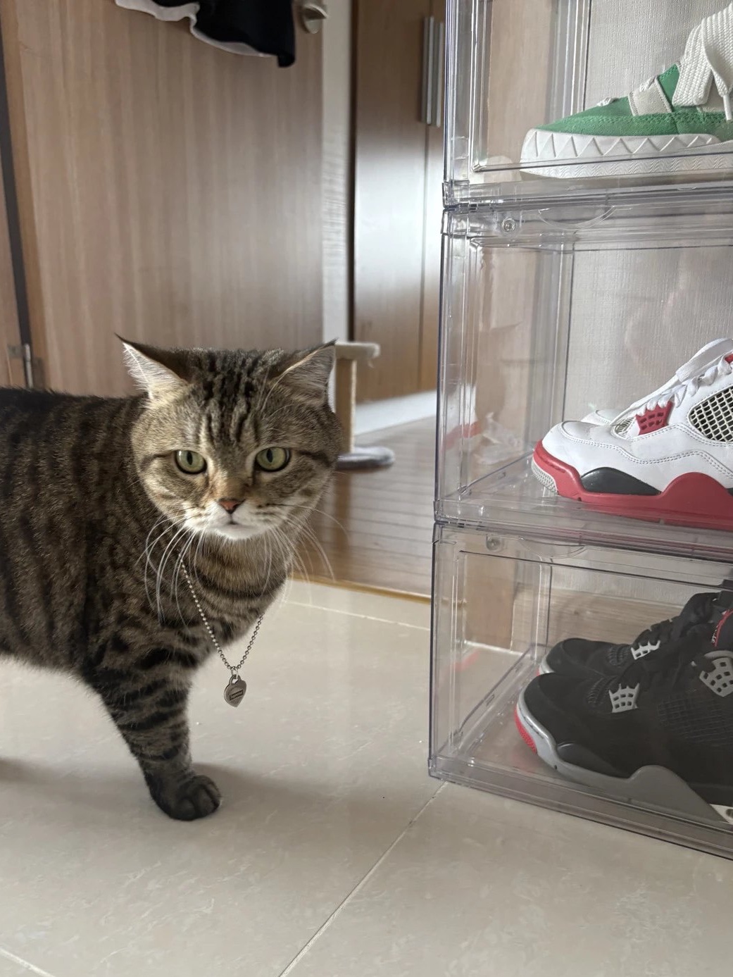 Supreme x Tiffany & Co. Return to Tiffany Heart Tag Pendant - 21FW, Jordan 4 Retro Bred 2019 착용 스타일