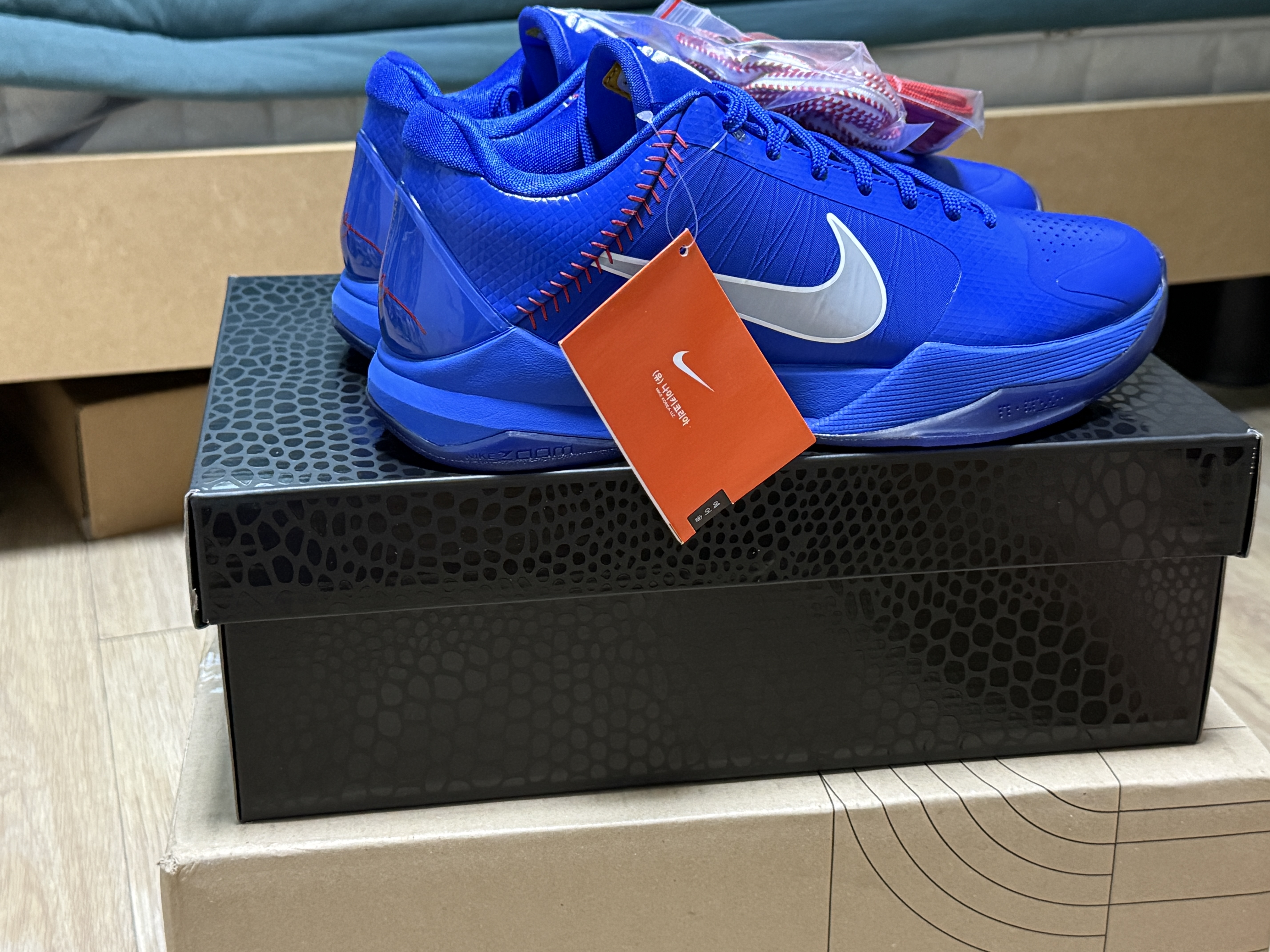 Nike Kobe 5 Protro Hyper Royal 착용 스타일 - 1
