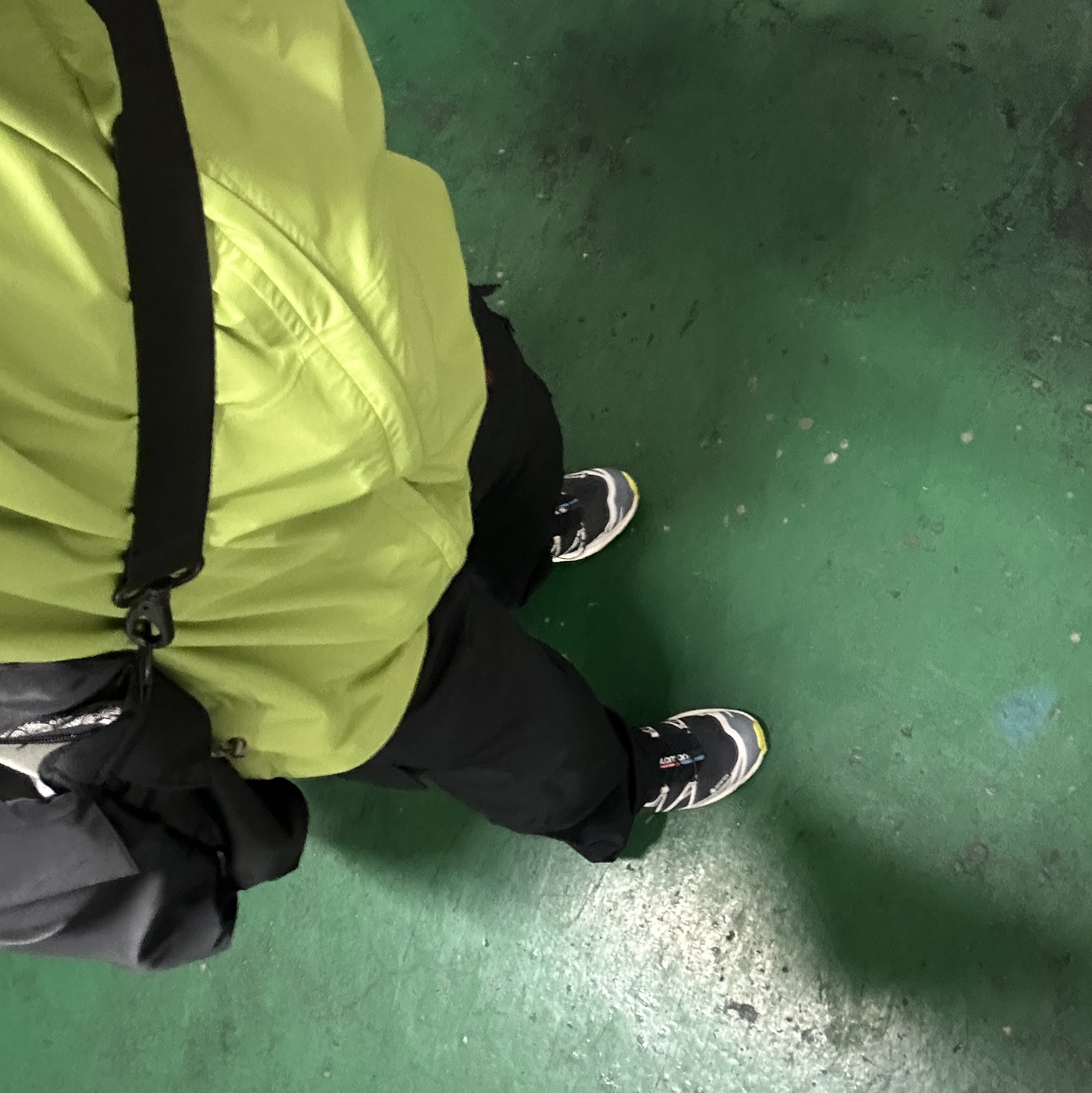 Patagonia Torrentshell 3L Jacket Phosphorus Green 착용 스타일