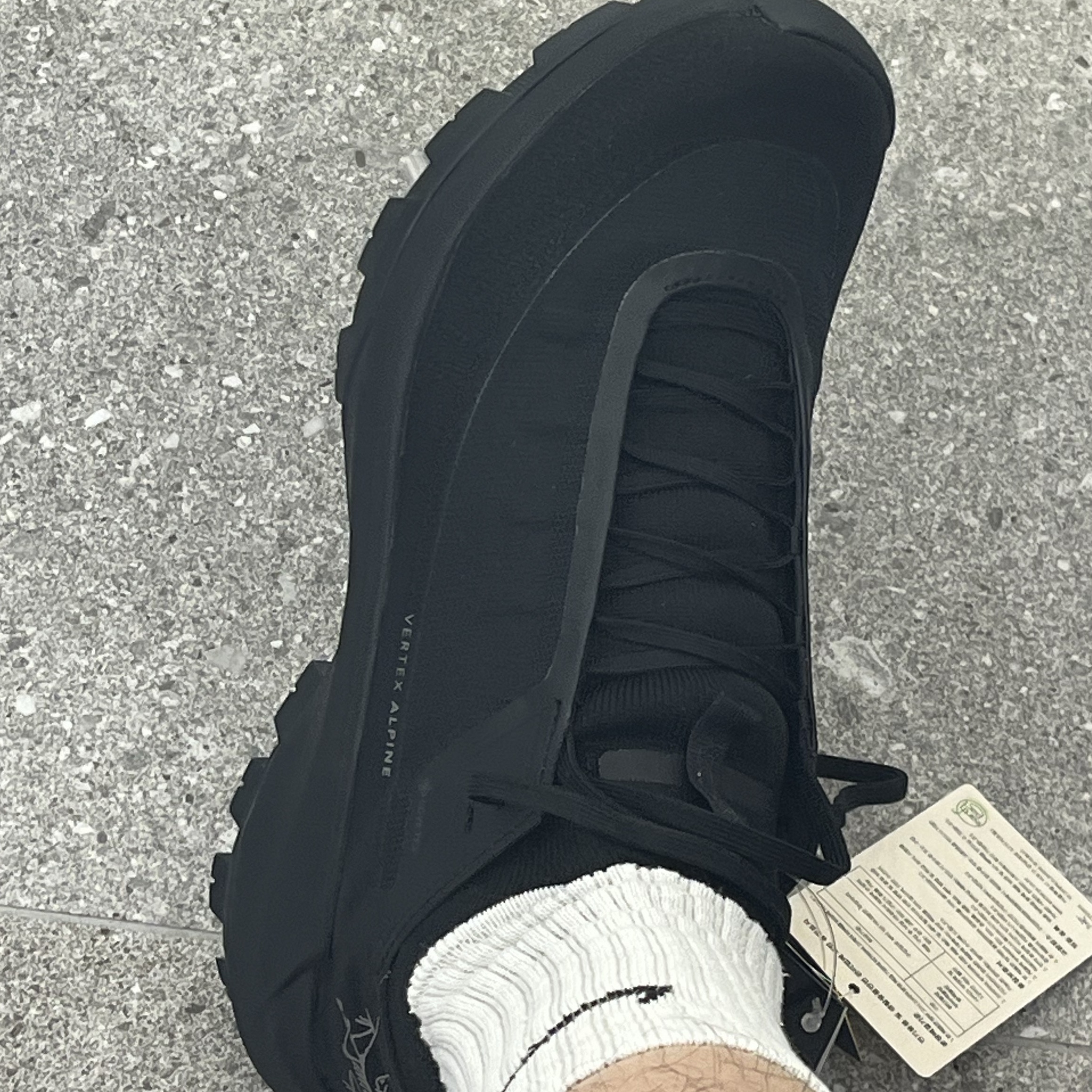Arc'teryx Vertex Alpine GTX Black 착용 스타일