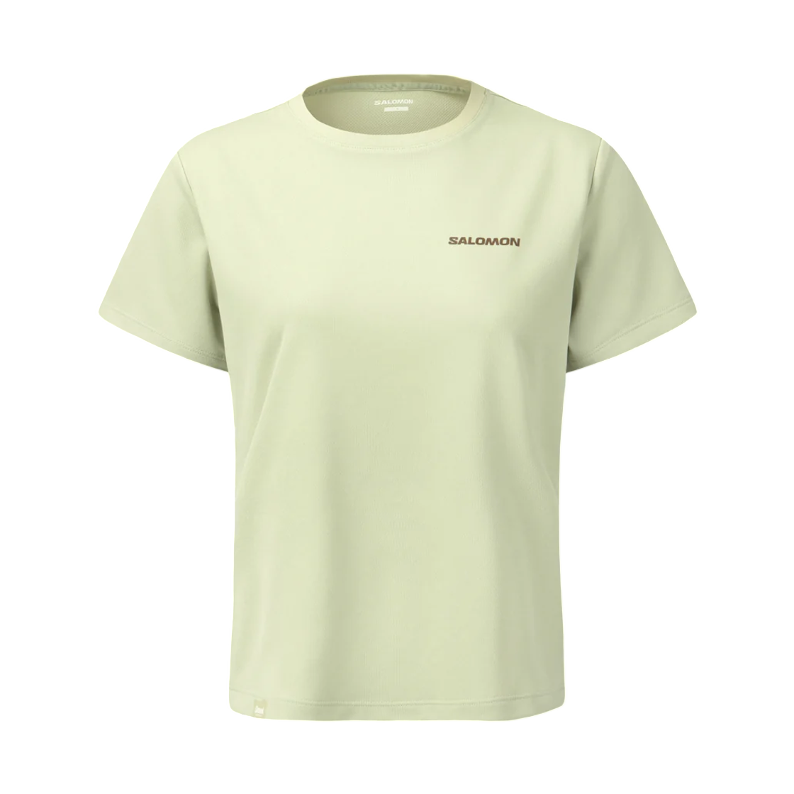 LD0098000 (W) Salomon Dry Sync Short Sleeve Grey Mint