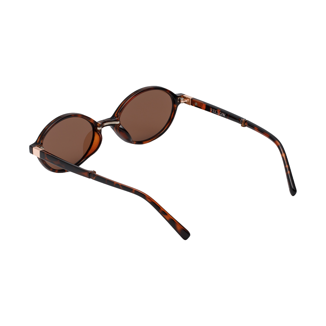 리끌로우 기가 폴더 선글라스 호피(RECLOW Giga F Sunglass Hopi) - 5