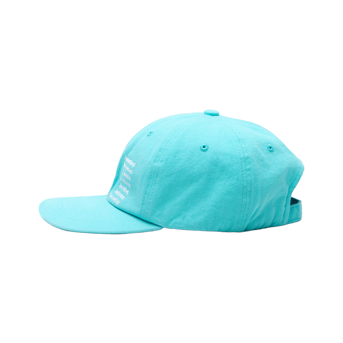 패슬 음양 워시드 캡 아쿠아(FASTLE Yin Yang Washed Cap Aqua) - 3