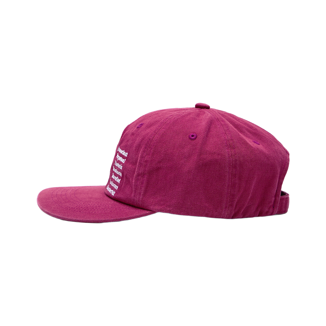패슬 음양 워시드 캡 비트(FASTLE Yin Yang Washed Cap Beet) - 3