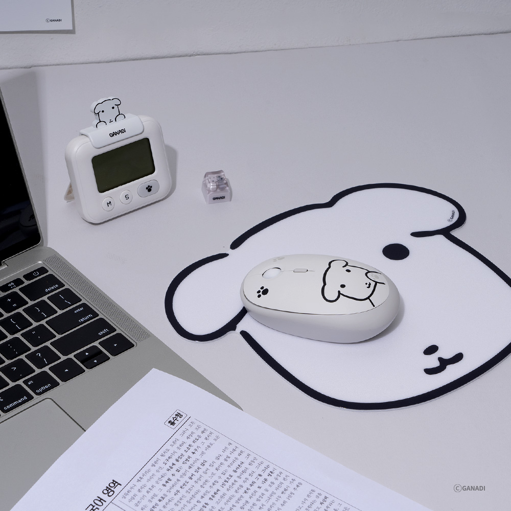로이체 가나디 저소음 멀티페어링 블루투스 무선마우스(Royche Ganadi Silent Multi-Pairing Bluetooth Wireless Mouse) - 5