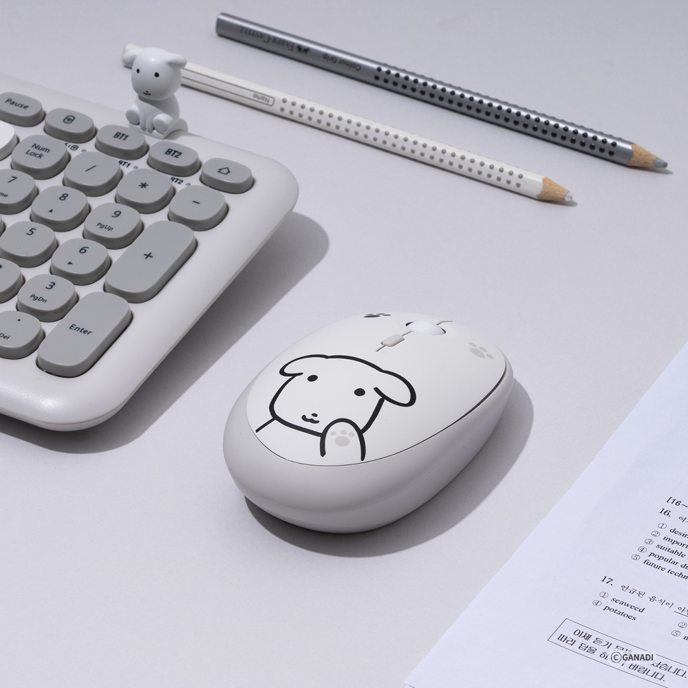 로이체 가나디 저소음 멀티페어링 블루투스 무선마우스(Royche Ganadi Silent Multi-Pairing Bluetooth Wireless Mouse) - 2
