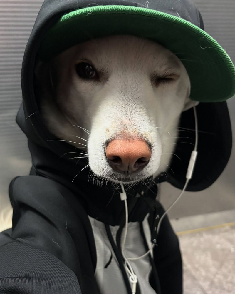KREAM 프로필 이미지