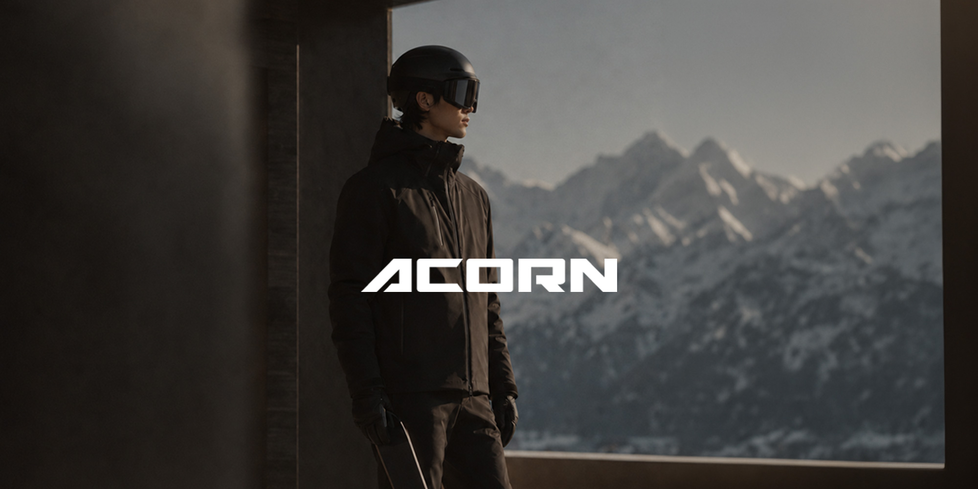 에이콘(Acorn)