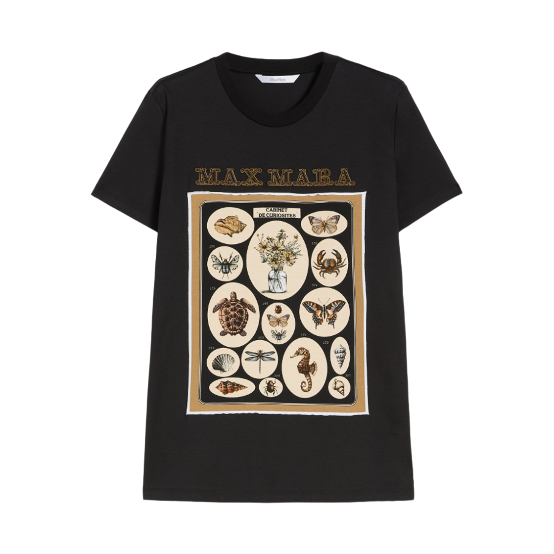 SPADINO-018 (W) Max Mara Spadino Cotton T-Shirt Black