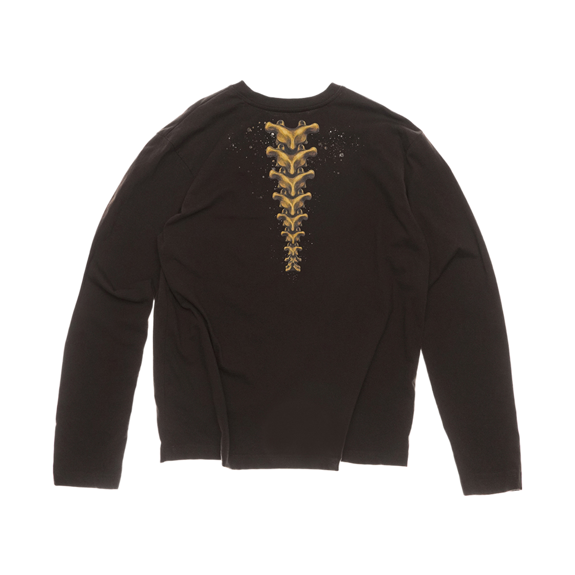 어센트 백본 긴팔 티셔츠 (브라운)(Ascent Backbone L/S Tee - Brown) - 1
