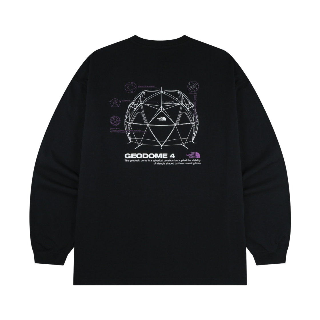 NT7TS01J The North Face Geodome L/S R/Tee BLK