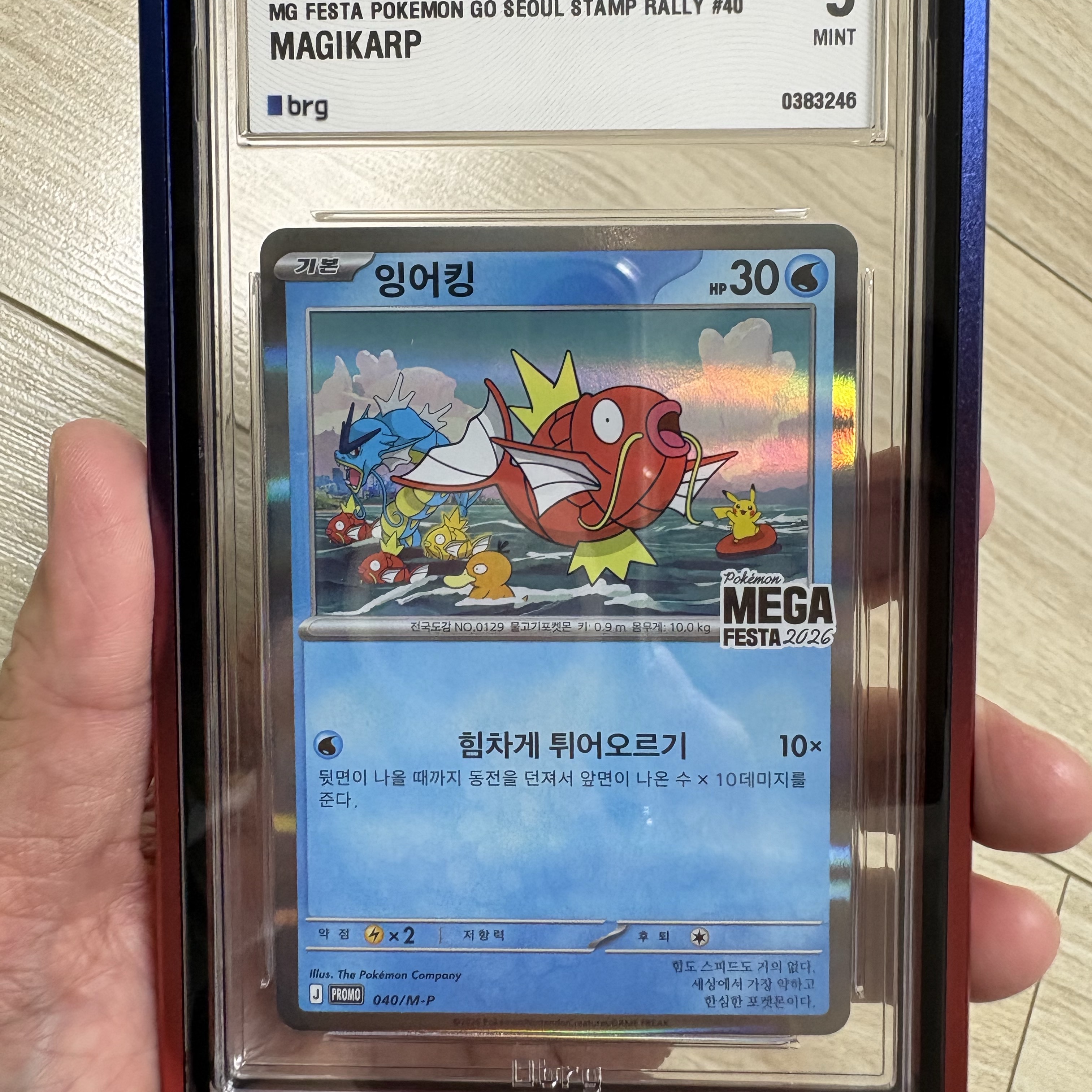 포켓몬 TCG 메가 페스타 2026 프로모 카드 잉어킹 착용 스타일