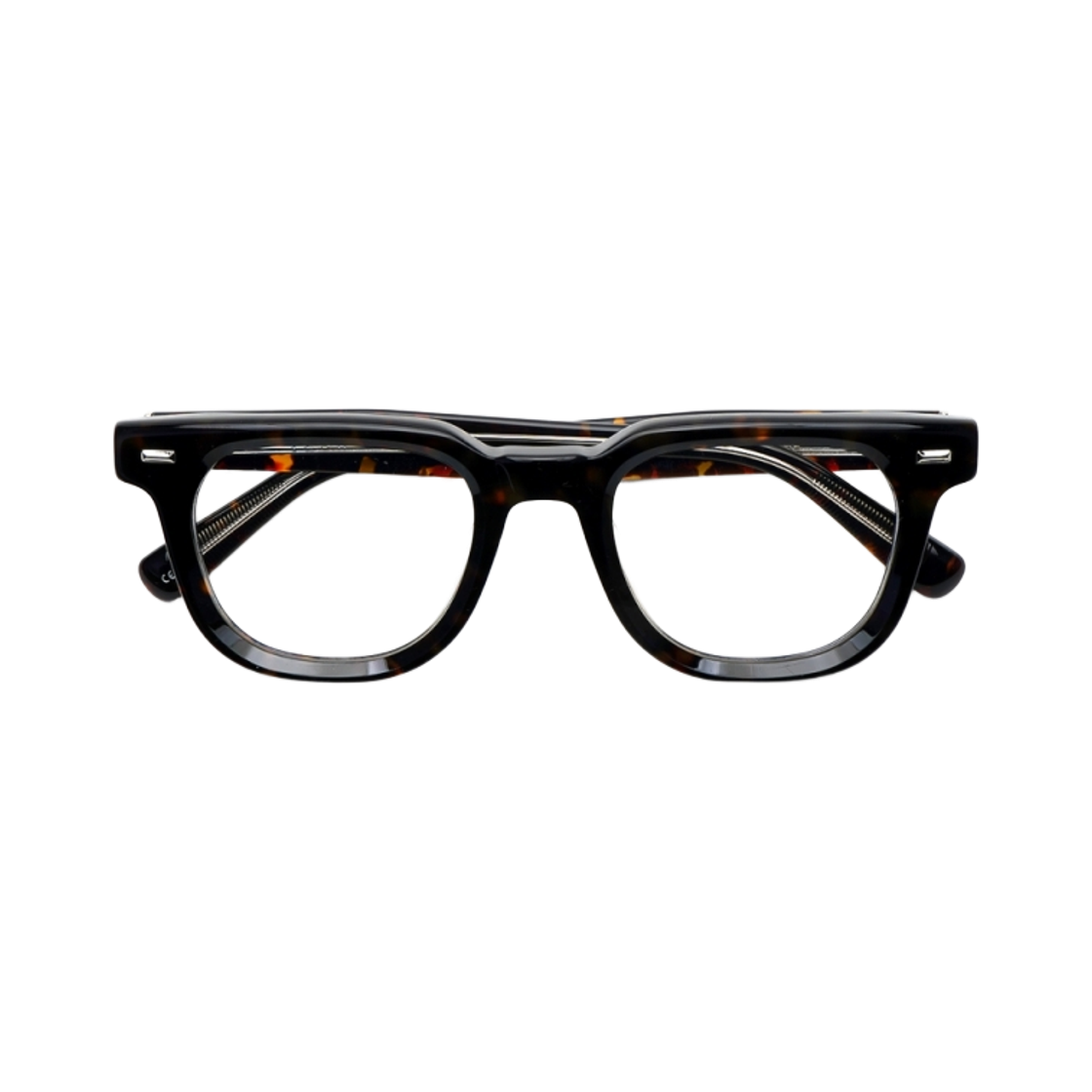 lash399 lash Rogue Tortoise