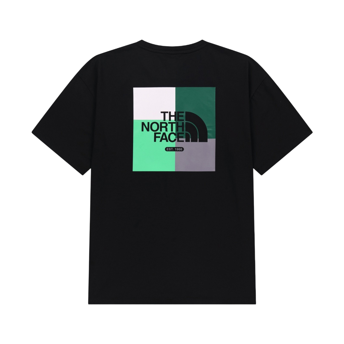NT7US22J The North Face Color Peak Ex S/S R/Tee BLK