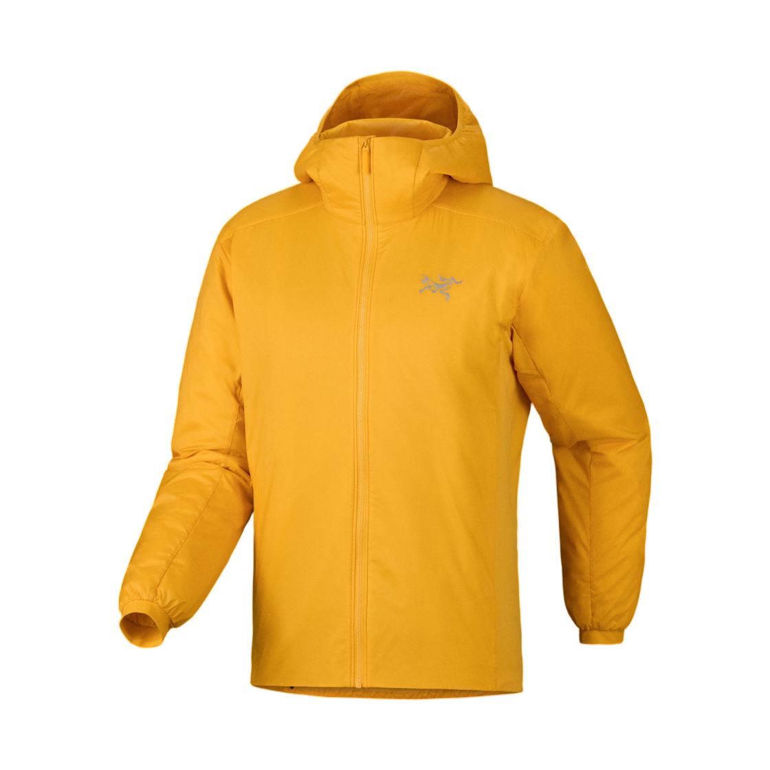 9556 Arc'teryx Atom Hoody Larch