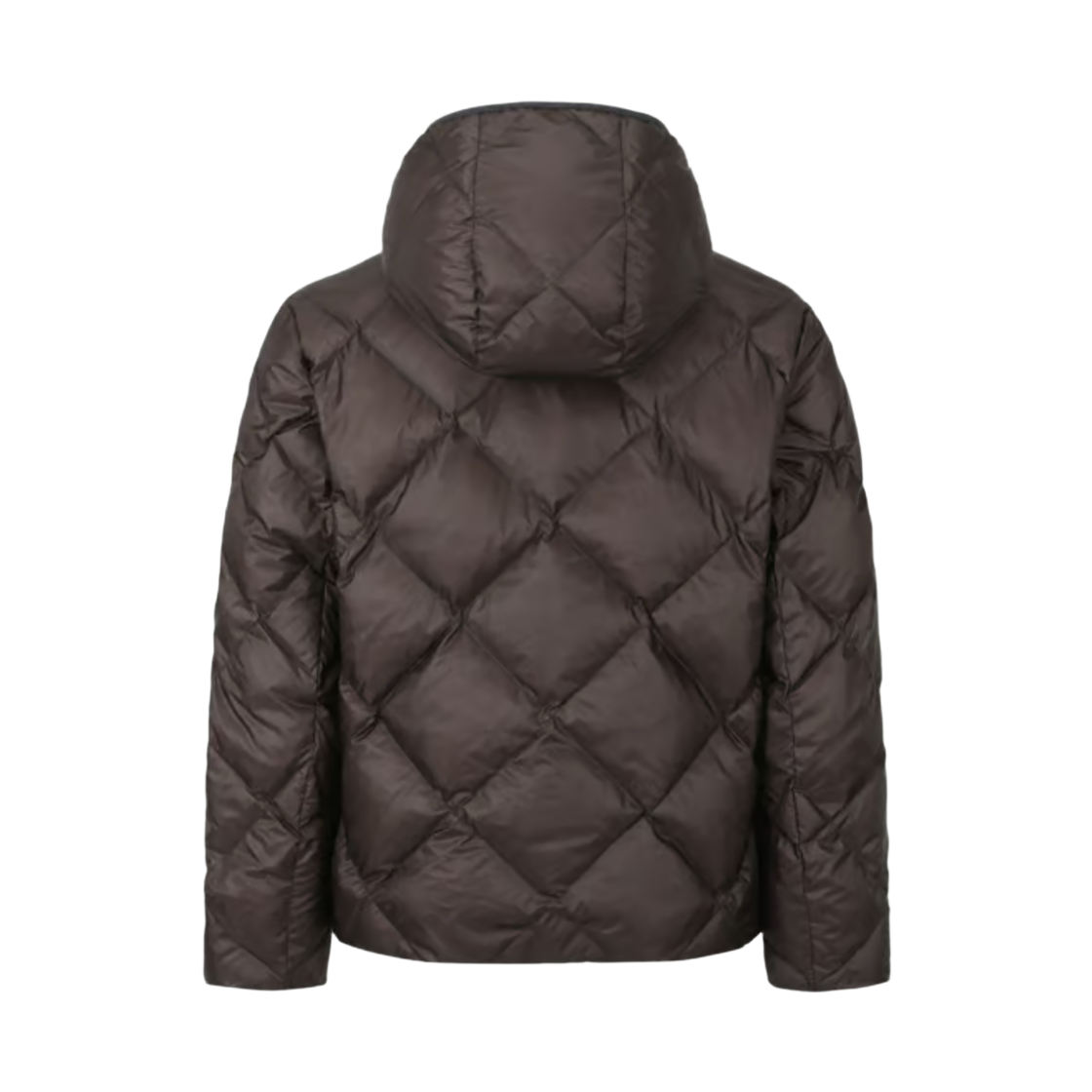디스커버리 익스페디션 올버트 뉴퀼팅 구스다운 경량패딩 다크 브라운(Discovery Expedition Olvert New Quilted Goose Down Light Puffer Jacket Dark Brown) - 2