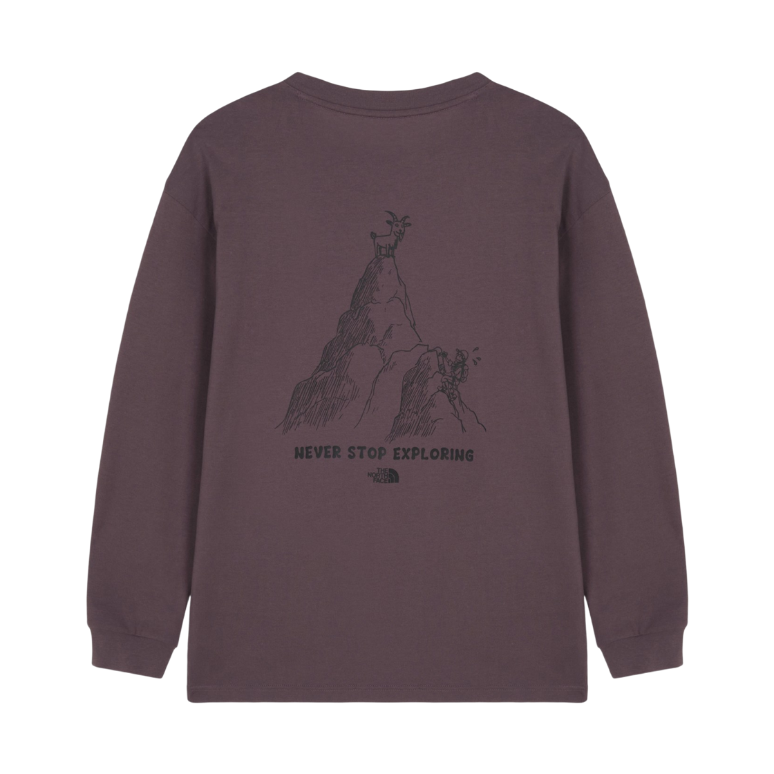 노스페이스 남성 데이클라임 긴팔 티 NT7TS51C_MSL(The North Face M'S Dayclimb L/S R/Tee) - 2