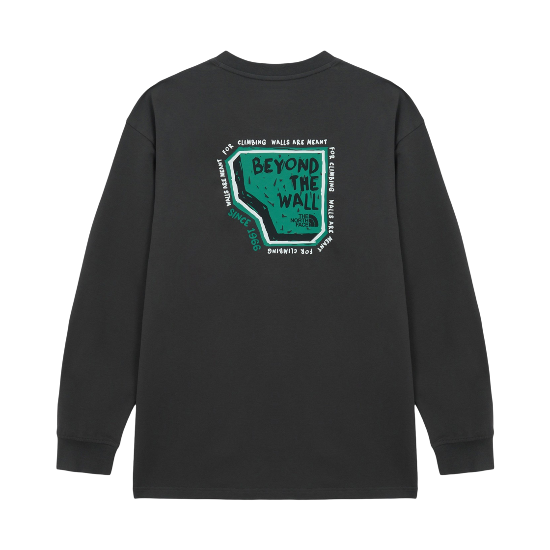 NT7TS00A The North Face M'S Overwall L/S R/Tee CHC