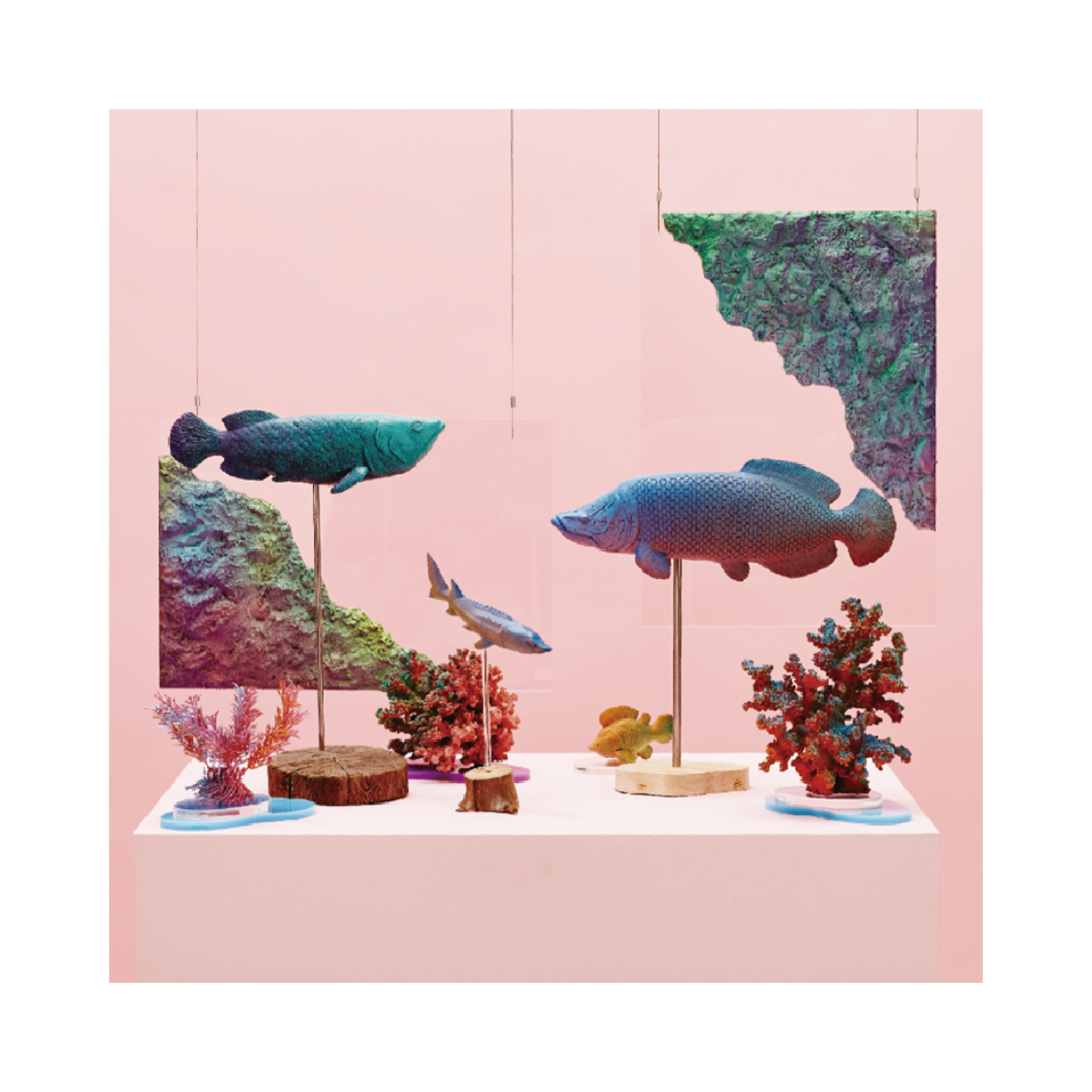 - Peejay 2nd Album Walkin Vol.02 LP Pink (500 Limited)