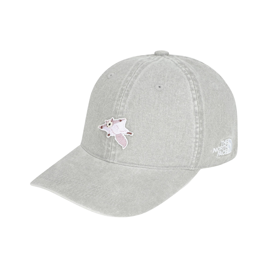 NE3CS06L The North Face Logo Ball Cap_Wp GRY