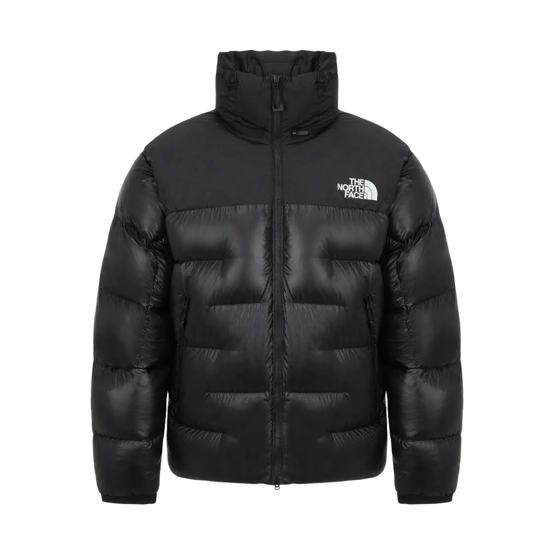 NJ1DS96A The North Face M Summit Nuptse Jacket Black - 26FW
