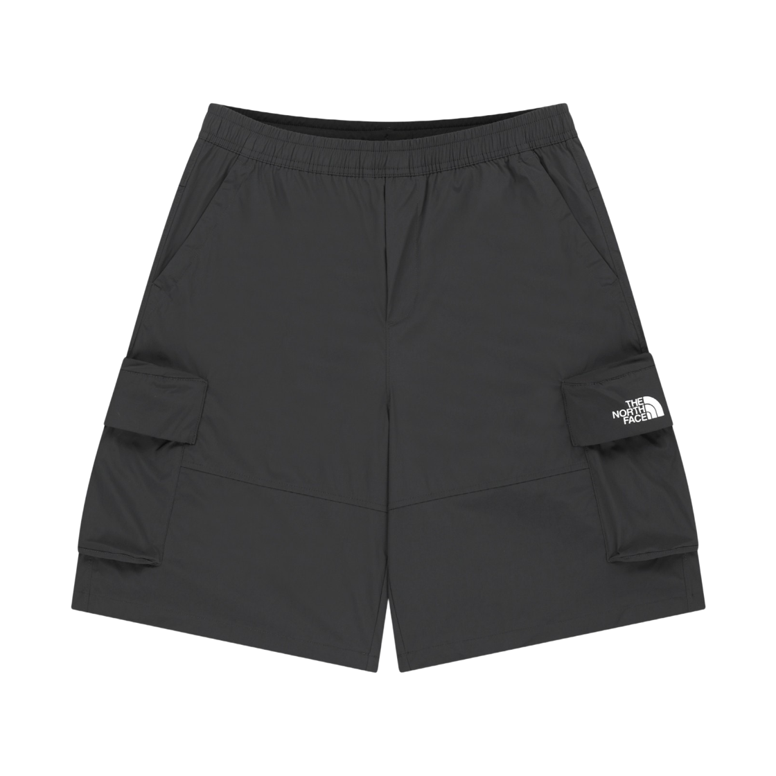 NS6NS06K The North Face Breelo Cargo Shorts DGY