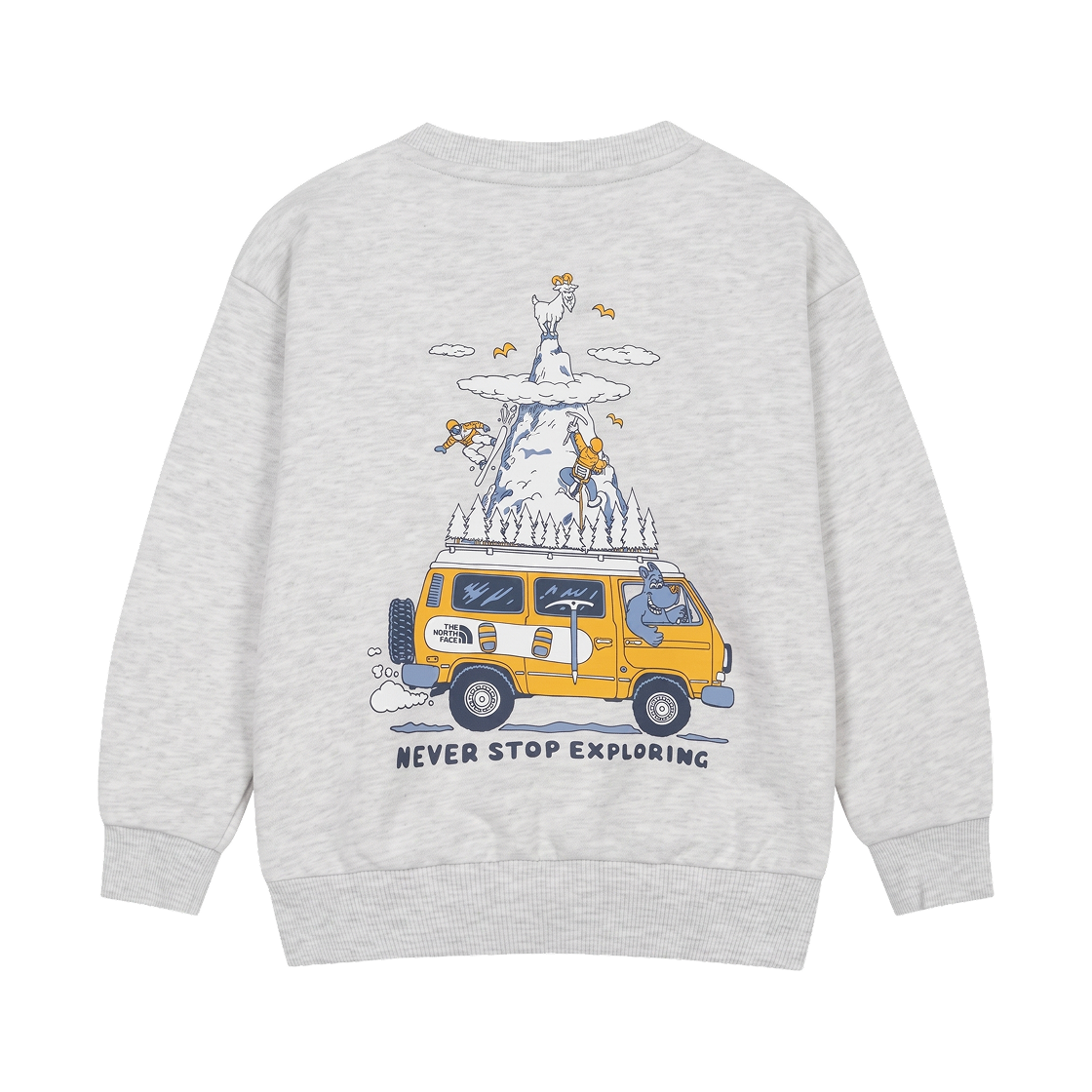 NM5MS52S (Kids) The North Face Trailmate Sweatshirt Heather Gray - 26FW