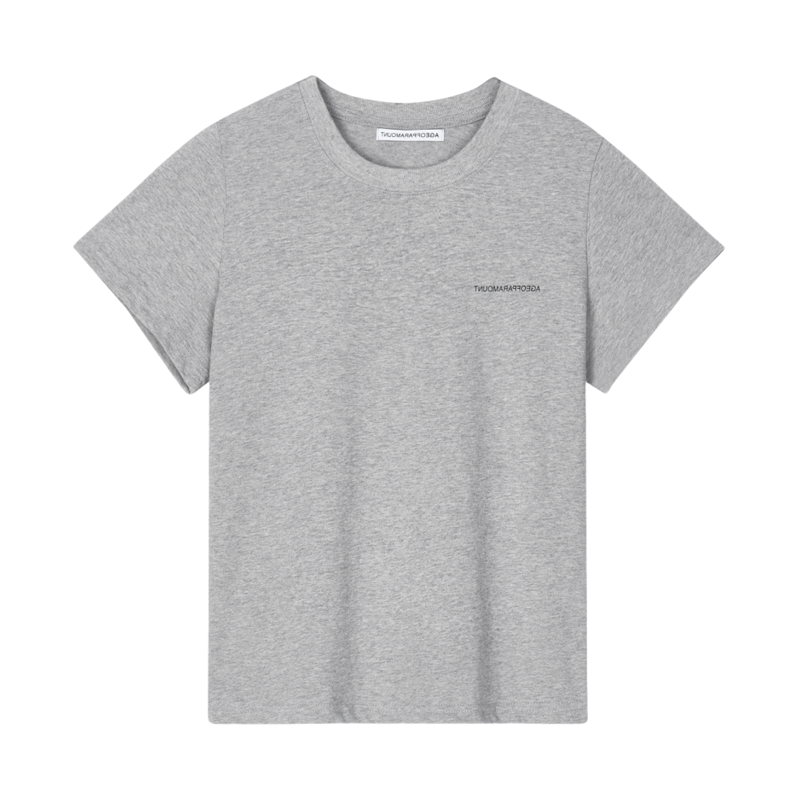 에이지오브파라마운트 에이지 티 그레이(AGEOFPARAMOUNT Age Tee Gray) - 2