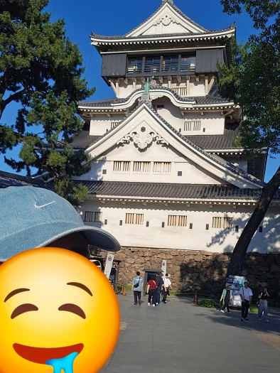 스타일 카드