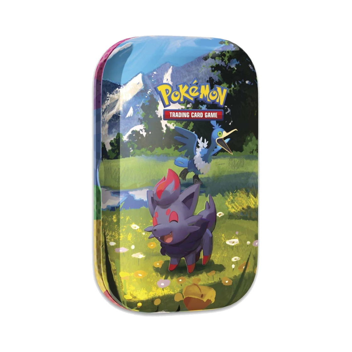 포켓몬 TCG 메가 에볼루션 어센드 히어로즈 미니 틴 조로아 & 윽우지 (영문판)(Pokemon TCG Mega Evolution Ascended Heroes Mini Tin Zorua & Cramorant (English Ver.)) - 1
