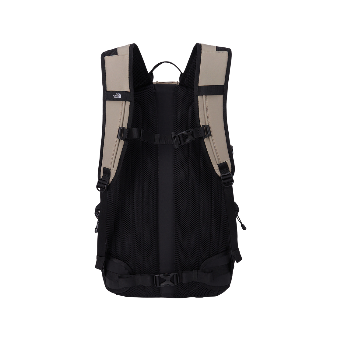 노스페이스 빅 샷 월넛 - 26FW(The North Face Big Shot Walnut - 26FW) - 2