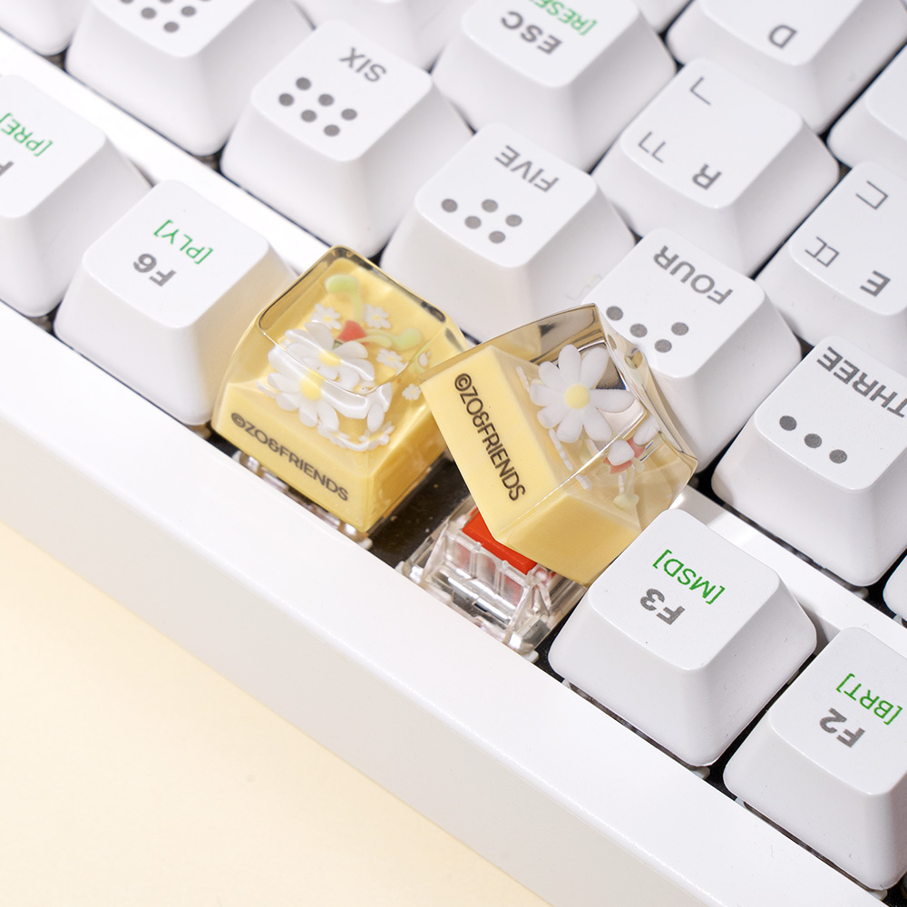 로이체 조앤프렌즈 포인트 커스텀 레진 키캡 앤(ROYCHE Zo&Friends Point Custom Resin Keycap - Anne) - 4