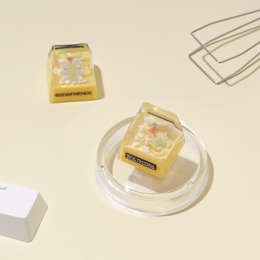 로이체 조앤프렌즈 포인트 커스텀 레진 키캡 앤(ROYCHE Zo&Friends Point Custom Resin Keycap - Anne) - 6