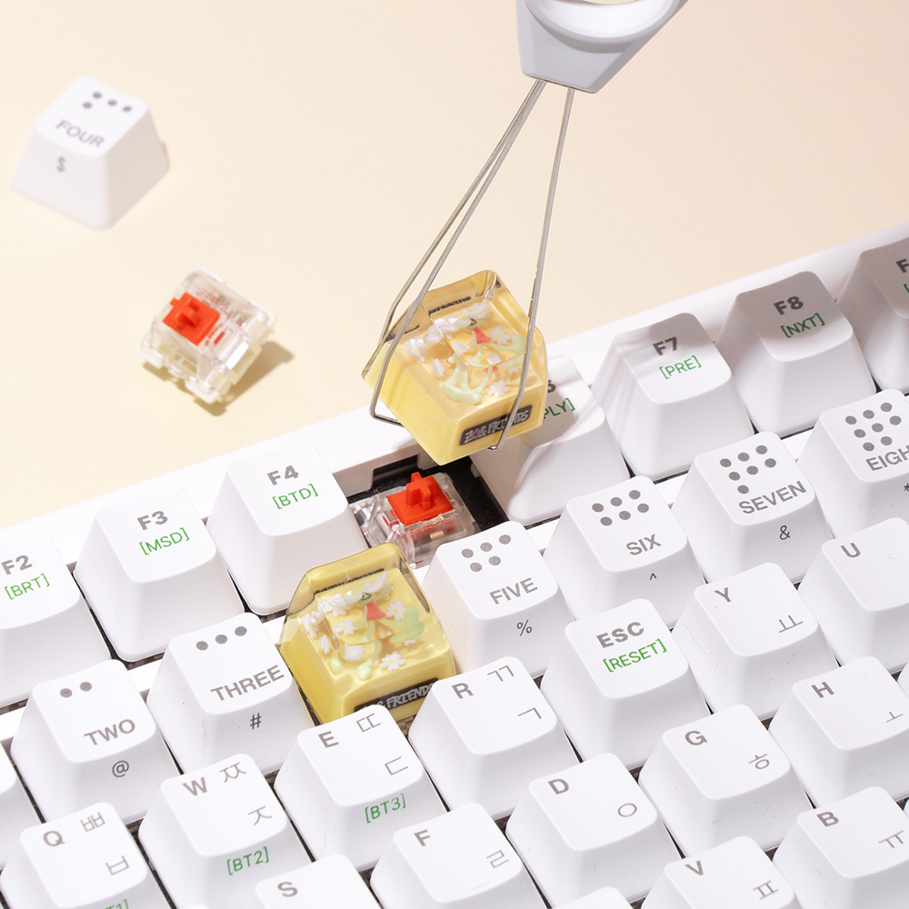 로이체 조앤프렌즈 포인트 커스텀 레진 키캡 앤(ROYCHE Zo&Friends Point Custom Resin Keycap - Anne) - 5
