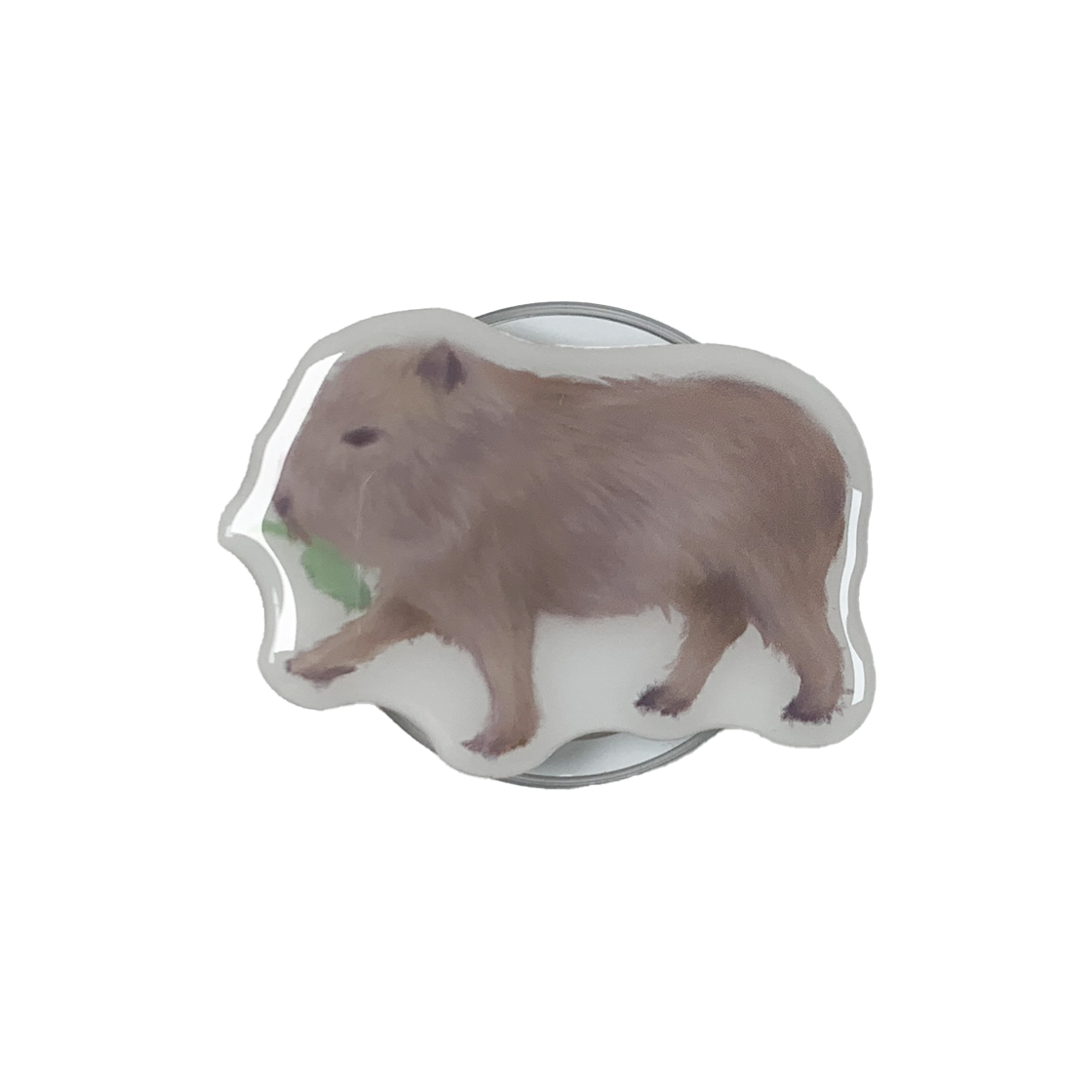 090301 Musemood Capybara Smart Tok