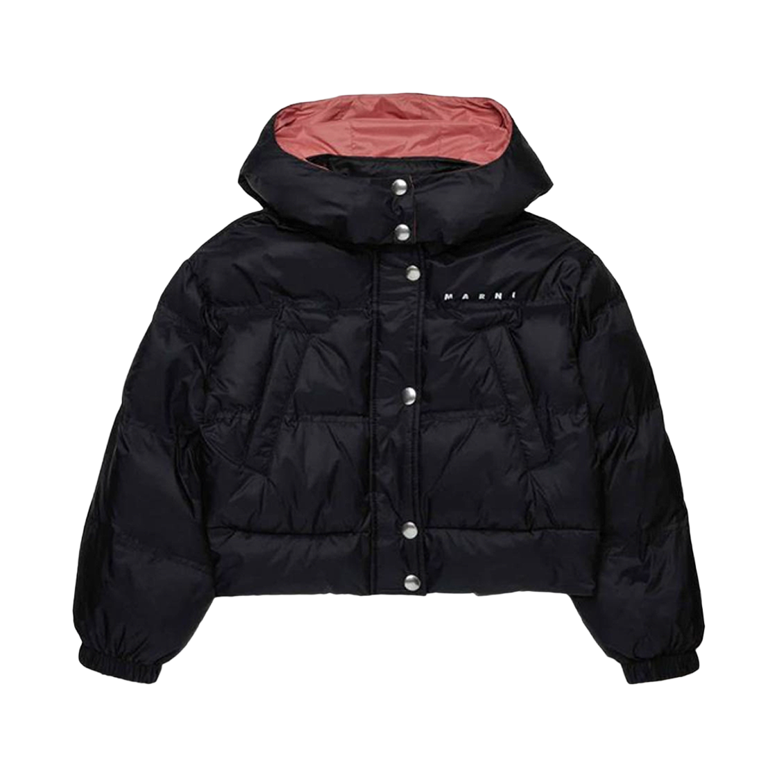 M01538 M00LY 0M900 12-14Y [20% 쿠폰] (Kids) Marni Logo Padded Jacket Black