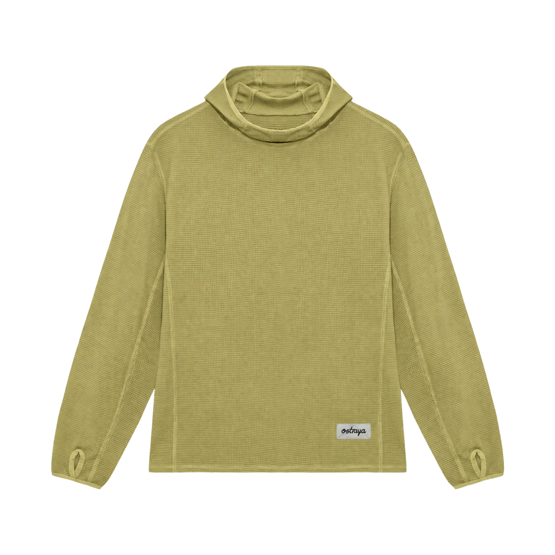 FW26TS02 Ostrya 26FW Ridge Base Hoodie Pomelo