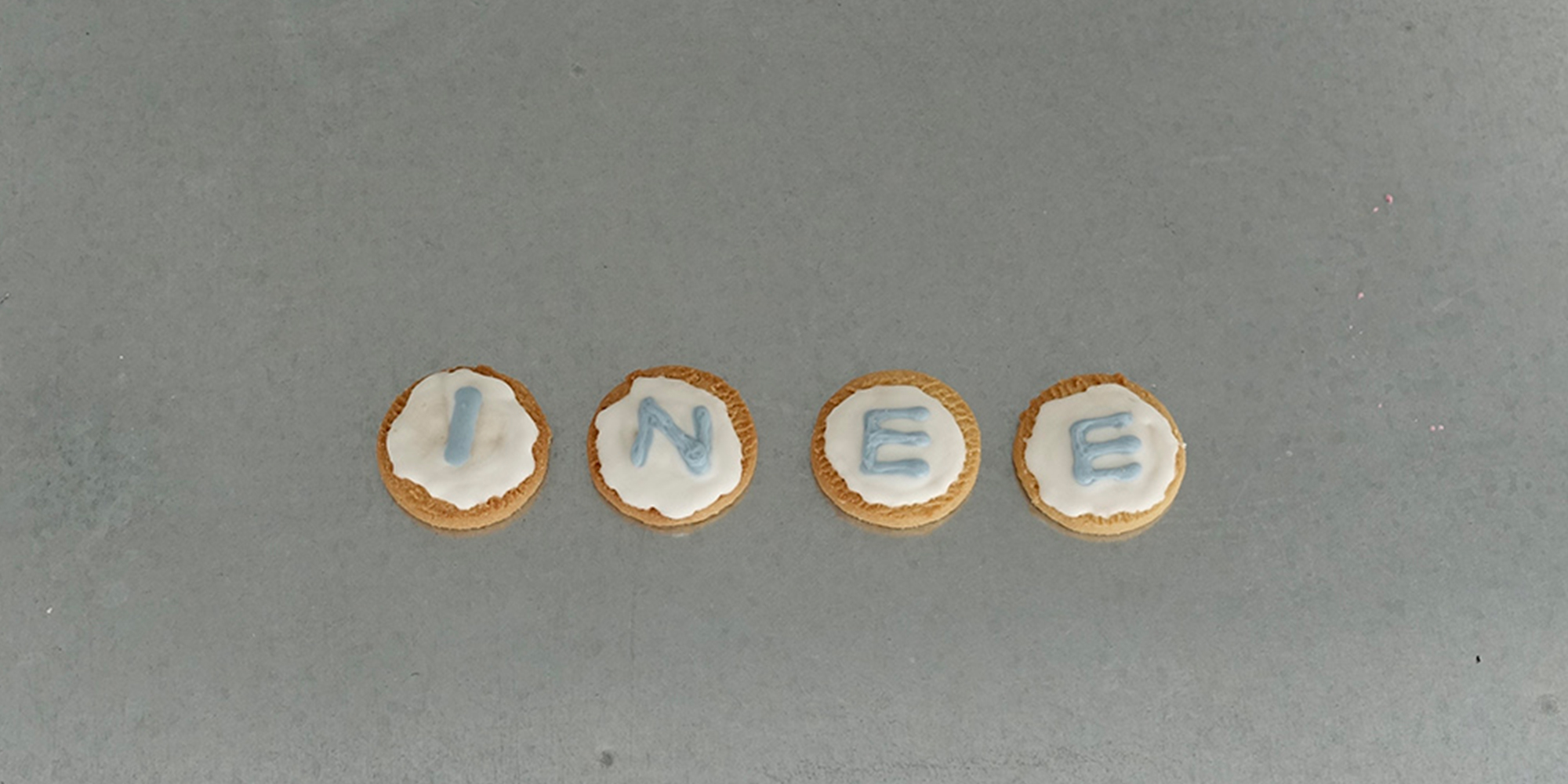이니(INEE)