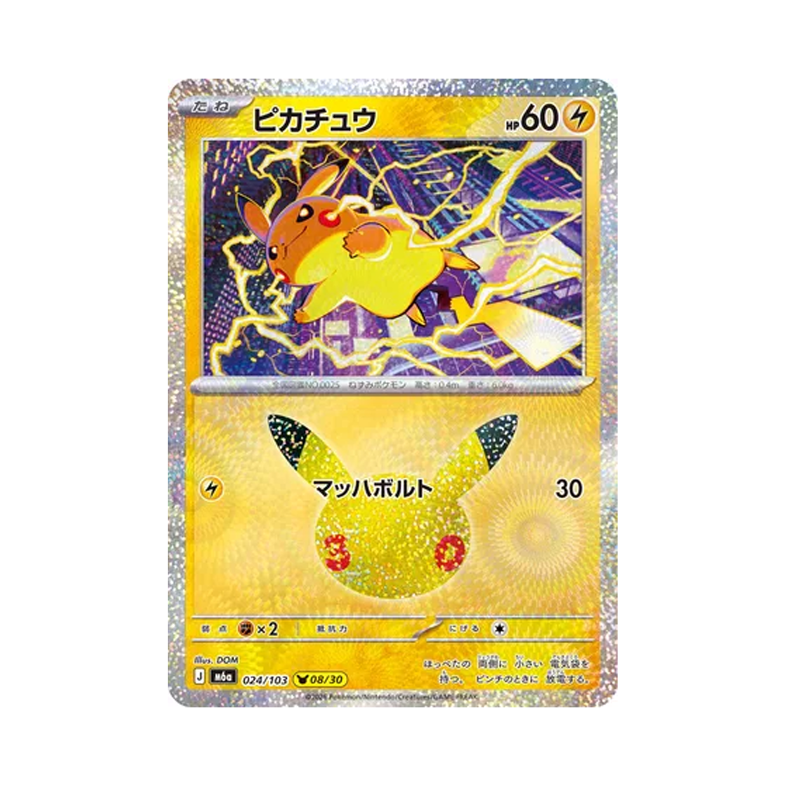 M6A024-103 Pokemon TCG Pikachu 08/30 30th Celebration Pikachu Collection (Japanese Ver.)