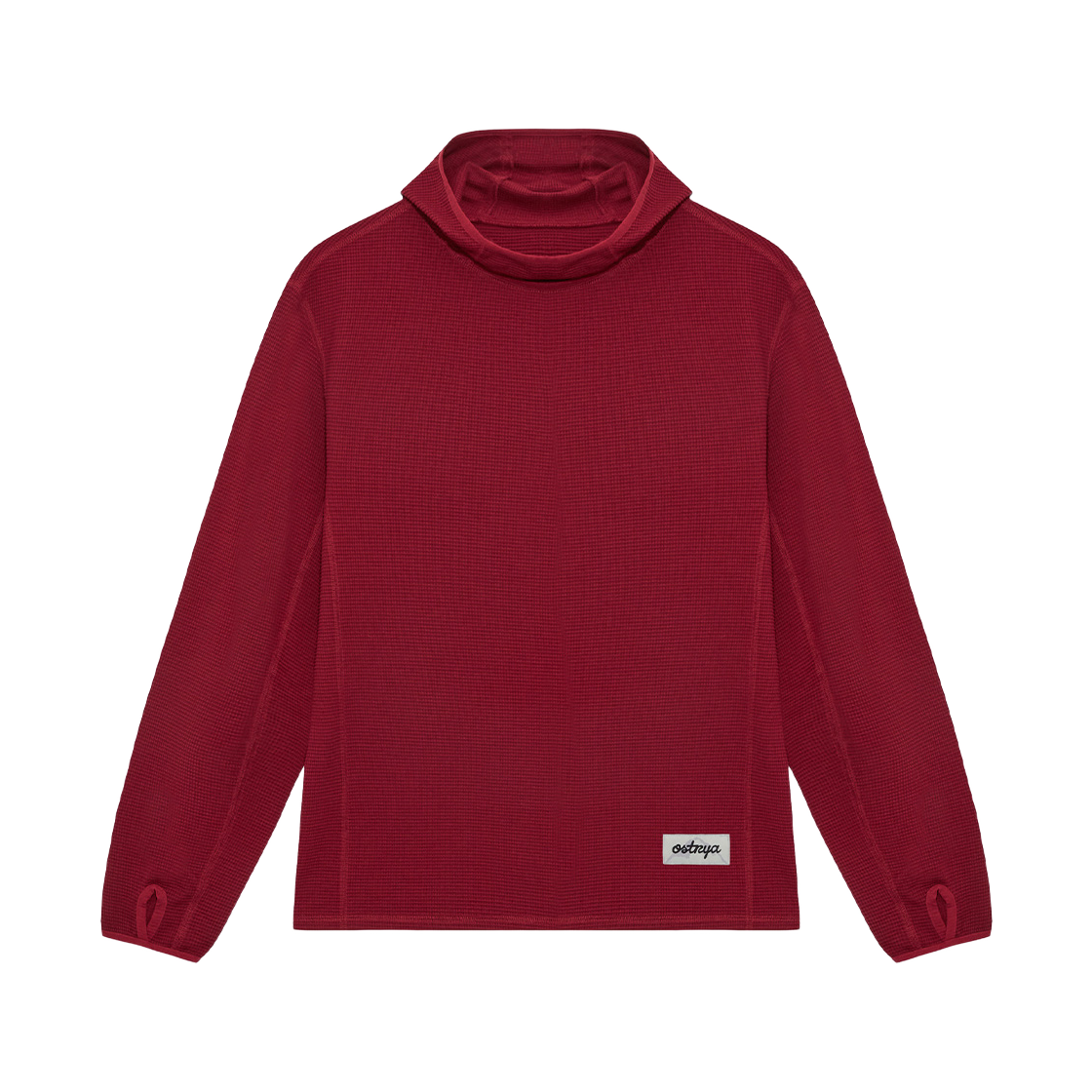오스트리야 26FW 릿지 베이스 후디 사추마(Ostrya 26FW Ridge Base Hoodie Satsuma) - 1